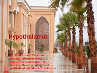 Hypothalamus
By Muhammad Zeeshan
Assistant director QEC,
Lecturer & coordinator MLT
Gulrang Nursing college and
Institute of Allied health sciences
 