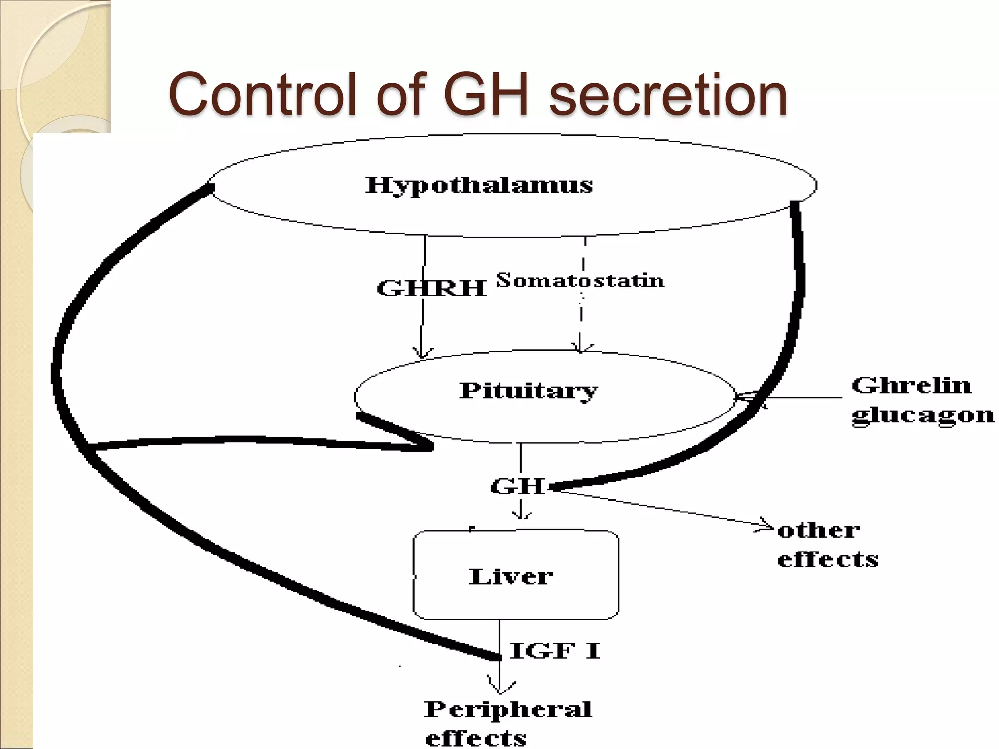 Control of GH secretion
 