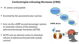 Hypothalamus Pituitary Hormones for medical laboratory students | PPTX