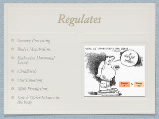 Regulates
Sensory Processing
Body’s Metabolism
Endocrine Hormonal
Levels
Childbirth
Our Emotions
Milk Production
Salt & Water balance in
the body
 
