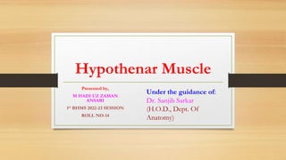 Hypothenar Muscle
Presented by,
M HADI UZ ZAMAN
ANSARI
1st BHMS 2022-23 SESSION
ROLL NO-14
 