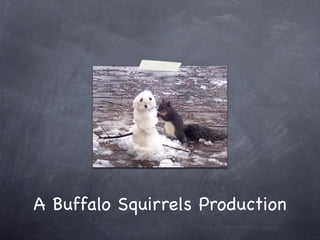 A Buffalo Squirrels Production
 