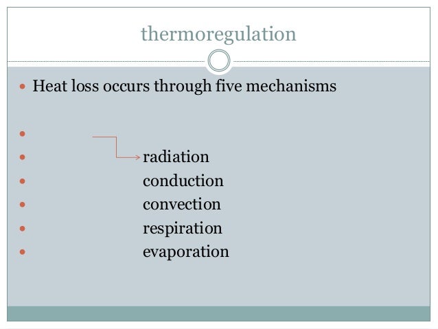 heat mechanisms loss neonates of in 4 and Hypothermia anaesthesia implication
