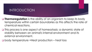 Comprehensive Overview of Hypothermia in Neonates: Causes, Effects, and ...