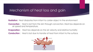 Comprehensive Overview of Neonatal Hypothermia: Causes, Prevention, and ...