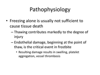 Pathophysiology
• Freezing alone is usually not sufficient to
cause tissue death
– Thawing contributes markedly to the degree of
injury
– Endothelial damage, beginning at the point of
thaw, is the critical event in frostbite
• Resulting damage results in swelling, platelet
aggregation, vessel thrombosis
 
