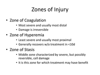 Zones of Injury
• Zone of Coagulation
• Most severe and usually most distal
• Damage is irreversible
• Zone of Hyperemia
• Least severe and usually most proximal
• Generally recovers w/o treatment in <10d
• Zone of Stasis
• Middle zone characterized by severe, but possibly
reversible, cell damage
• It is this zone for which treatment may have benefit
 