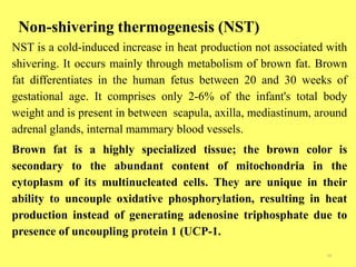 Non-shivering thermogenesis (NST)
16
NST is a cold-induced increase in heat production not associated with
shivering. It occurs mainly through metabolism of brown fat. Brown
fat differentiates in the human fetus between 20 and 30 weeks of
gestational age. It comprises only 2-6% of the infant's total body
weight and is present in between scapula, axilla, mediastinum, around
adrenal glands, internal mammary blood vessels.
Brown fat is a highly specialized tissue; the brown color is
secondary to the abundant content of mitochondria in the
cytoplasm of its multinucleated cells. They are unique in their
ability to uncouple oxidative phosphorylation, resulting in heat
production instead of generating adenosine triphosphate due to
presence of uncoupling protein 1 (UCP-1.
 