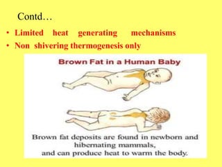 Contd…
• Limited heat generating mechanisms
• Non shivering thermogenesis only
 