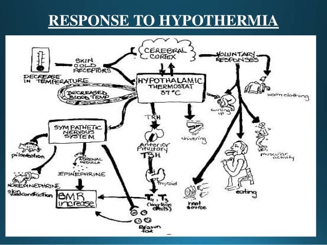 Hypothermia In Trauma Victims Complication And Its Prevention