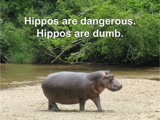 Hippos are dangerous.
Hippos are dumb.
 