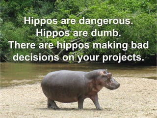 Hippos are dangerous.
Hippos are dumb.
There are hippos making bad
decisions on your projects.
 