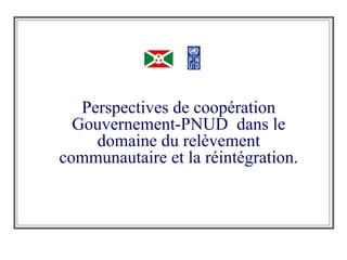 Perspectives de coopération Gouvernement-PNUD  dans le domaine du relèvement communautaire et la réintégration. 