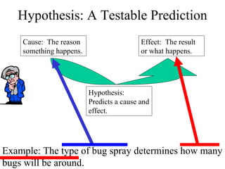 Hypothesis