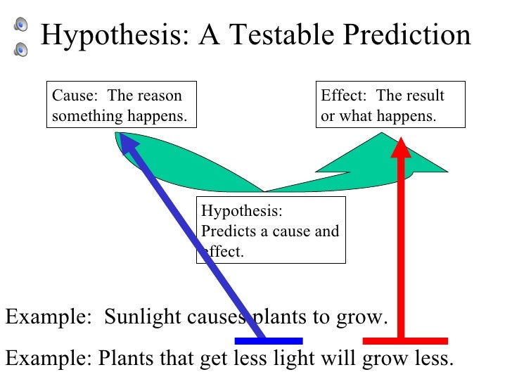 example of cause and effect hypothesis