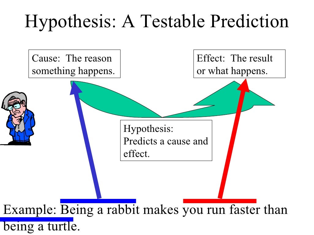 3 testable hypothesis