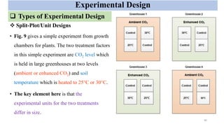 Hypothesis Testing and Experimental design.pptx