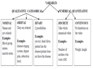 Hypothesis testing for parametric data (1) | PPTX