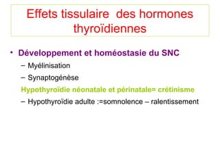 Effets tissulaire des hormones
             thyroïdiennes
• Développement et homéostasie du SNC
  – Myélinisation
  – Synaptogénèse
  Hypothyroïdie néonatale et périnatale= crétinisme
  – Hypothyroïdie adulte :=somnolence – ralentissement
 