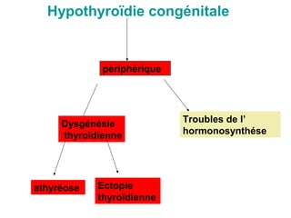 Hypothyroïdie congénitale


             périphérique




     Dysgénésie             Troubles de l’
     thyroïdienne           hormonosynthése




athyréose   Ectopie
            thyroïdienne
 