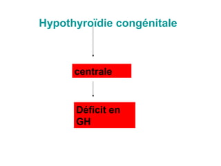 Hypothyroïdie congénitale



      centrale


      Déficit en
      GH
 