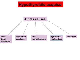 Hypothyroïdie acquise


                      Autres causes




Prise        Irradiation   Post             Syndrome      cystenose
d’anti       cervicale     thyroïdectomie   nephrotique
thyroïdien
 