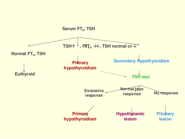 Hypothyroidism Pathophysiology Flow Chart