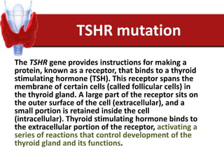TSHR mutation
The TSHR gene provides instructions for making a
protein, known as a receptor, that binds to a thyroid
stimulating hormone (TSH). This receptor spans the
membrane of certain cells (called follicular cells) in
the thyroid gland. A large part of the receptor sits on
the outer surface of the cell (extracellular), and a
small portion is retained inside the cell
(intracellular). Thyroid stimulating hormone binds to
the extracellular portion of the receptor, activating a
series of reactions that control development of the
thyroid gland and its functions.
 