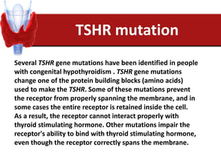 TSHR mutation
Several TSHR gene mutations have been identified in people
with congenital hypothyroidism . TSHR gene mutations
change one of the protein building blocks (amino acids)
used to make the TSHR. Some of these mutations prevent
the receptor from properly spanning the membrane, and in
some cases the entire receptor is retained inside the cell.
As a result, the receptor cannot interact properly with
thyroid stimulating hormone. Other mutations impair the
receptor's ability to bind with thyroid stimulating hormone,
even though the receptor correctly spans the membrane.
 