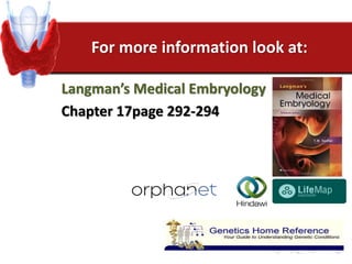 For more information look at:
Langman’s Medical Embryology
Chapter 17page 292-294
 