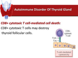 Autoimmune Disorder Of Thyroid Gland
CD8+ cytotoxic T cell-mediated cell death:
CD8+ cytotoxic T cells may destroy
thyroid follicular cells.
 
