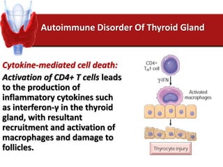 Autoimmune Disorder Of Thyroid Gland
Cytokine-mediated cell death:
Activation of CD4+ T cells leads
to the production of
inflammatory cytokines such
as interferon-γ in the thyroid
gland, with resultant
recruitment and activation of
macrophages and damage to
follicles.
 