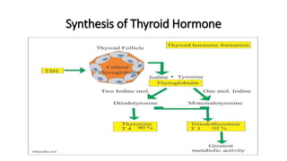 Hypothyroidism | PPTX