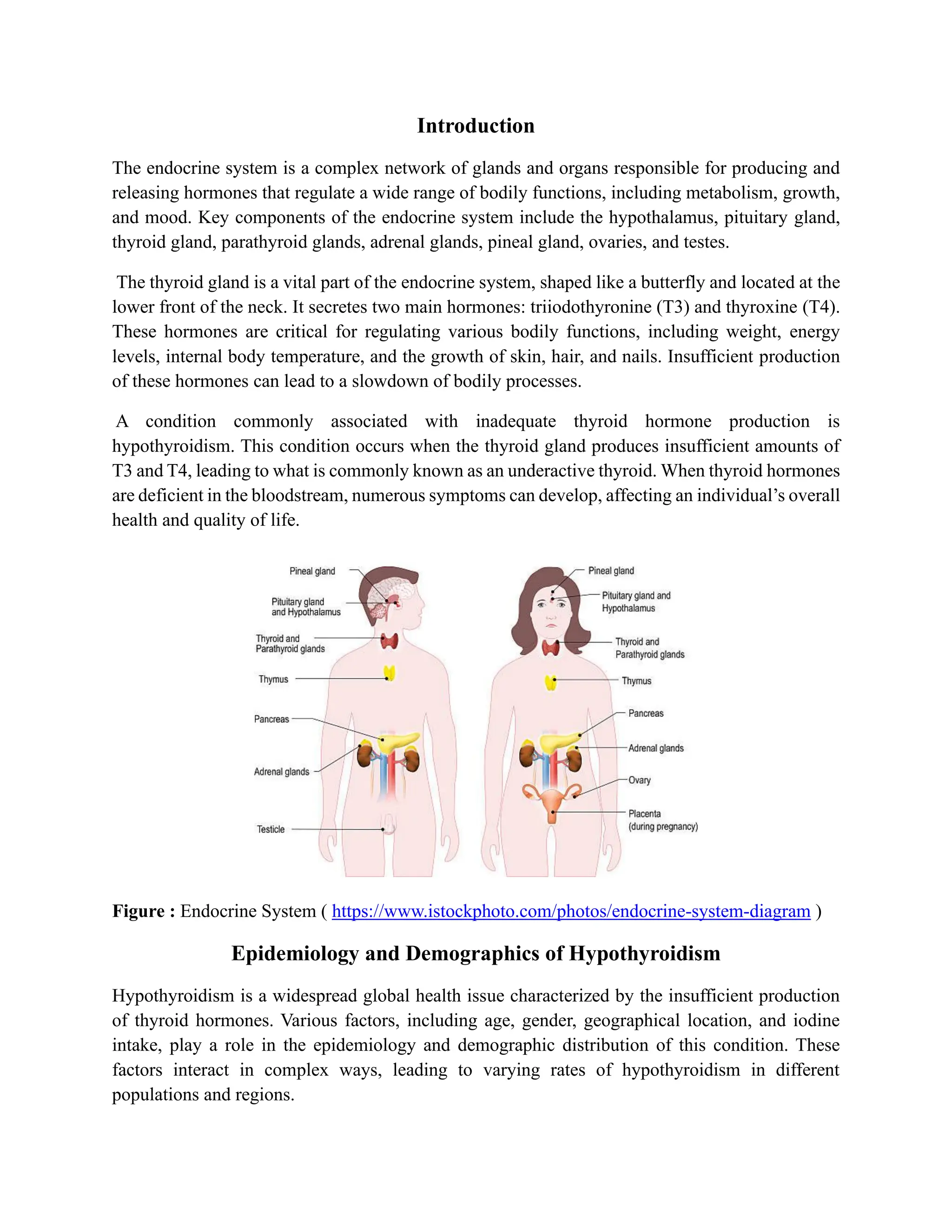 Hypothyroidism, Endocrine System, Thyroid gland | PDF