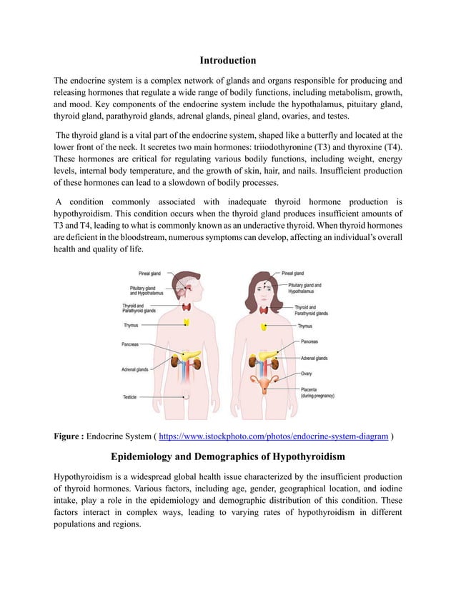 Hypothyroidism Endocrine System Thyroid Gland Pdf