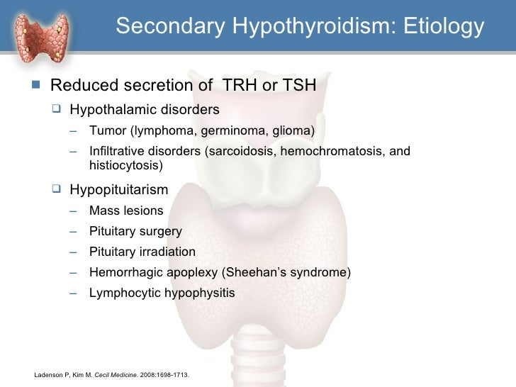 Hypothyroidism a clinical perspective