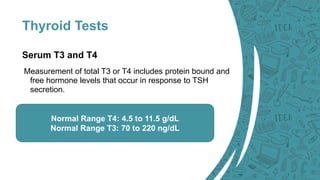 Thyroid Tests
Serum T3 and T4
Measurement of total T3 or T4 includes protein bound and
free hormone levels that occur in response to TSH
secretion.
Normal Range T4: 4.5 to 11.5 g/dL
Normal Range T3: 70 to 220 ng/dL
 