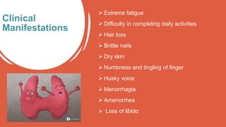  Extreme fatigue
 Difficulty in completing daily activities
 Hair loss
 Brittle nails
 Dry skin
 Numbness and tingling of finger
 Husky voice
 Menorrhagia
 Amenorrhea
 Loss of libido
Clinical
Manifestations
 