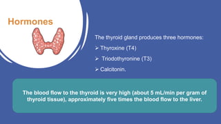 Hormones
The thyroid gland produces three hormones:
 Thyroxine (T4)
 Triodothyronine (T3)
 Calcitonin.
The blood flow to the thyroid is very high (about 5 mL/min per gram of
thyroid tissue), approximately five times the blood flow to the liver.
 