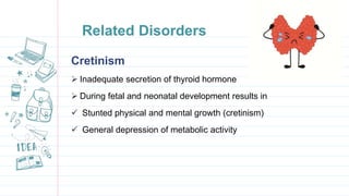Related Disorders
Cretinism
 Inadequate secretion of thyroid hormone
 During fetal and neonatal development results in
 Stunted physical and mental growth (cretinism)
 General depression of metabolic activity
 