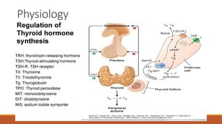 Hypothyroidism clinical features and management.pptx