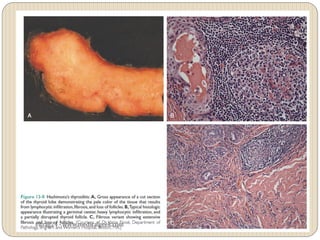 vitrag24 - www.medicalgeek.com
 