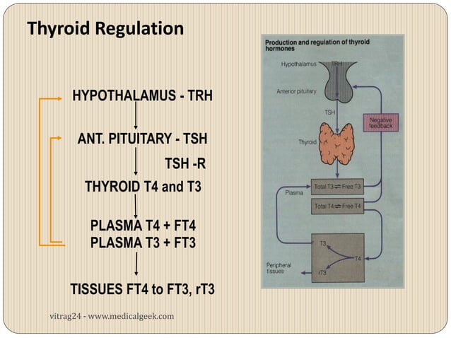 Hypothyroidism | PDF