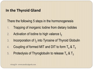 In the Thyroid Gland

There the following 5 steps in the hormonogenesis
1.      Trapping of inorganic Iodine from dietary Iodides
2.      Activation of Iodine to high valance I2
3.      Incorporation of I2 into Tyrosine of Thyroid Globulin
4.      Coupling of formed MIT and DIT to form T4 & T3
5.      Proteolysis of Thyroglobulin to release T4 & T3

     vitrag24 - www.medicalgeek.com
 