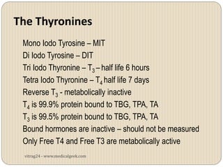 The Thyronines
 Mono Iodo Tyrosine – MIT
 Di Iodo Tyrosine – DIT
 Tri Iodo Thyronine – T3 – half life 6 hours
 Tetra Iodo Thyronine – T4 half life 7 days
 Reverse T3 - metabolically inactive
 T4 is 99.9% protein bound to TBG, TPA, TA
 T3 is 99.5% protein bound to TBG, TPA, TA
 Bound hormones are inactive – should not be measured
 Only Free T4 and Free T3 are metabolically active
 vitrag24 - www.medicalgeek.com
 