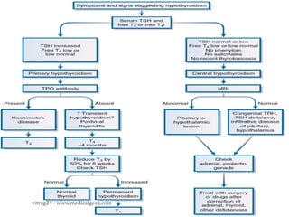 vitrag24 - www.medicalgeek.com
 