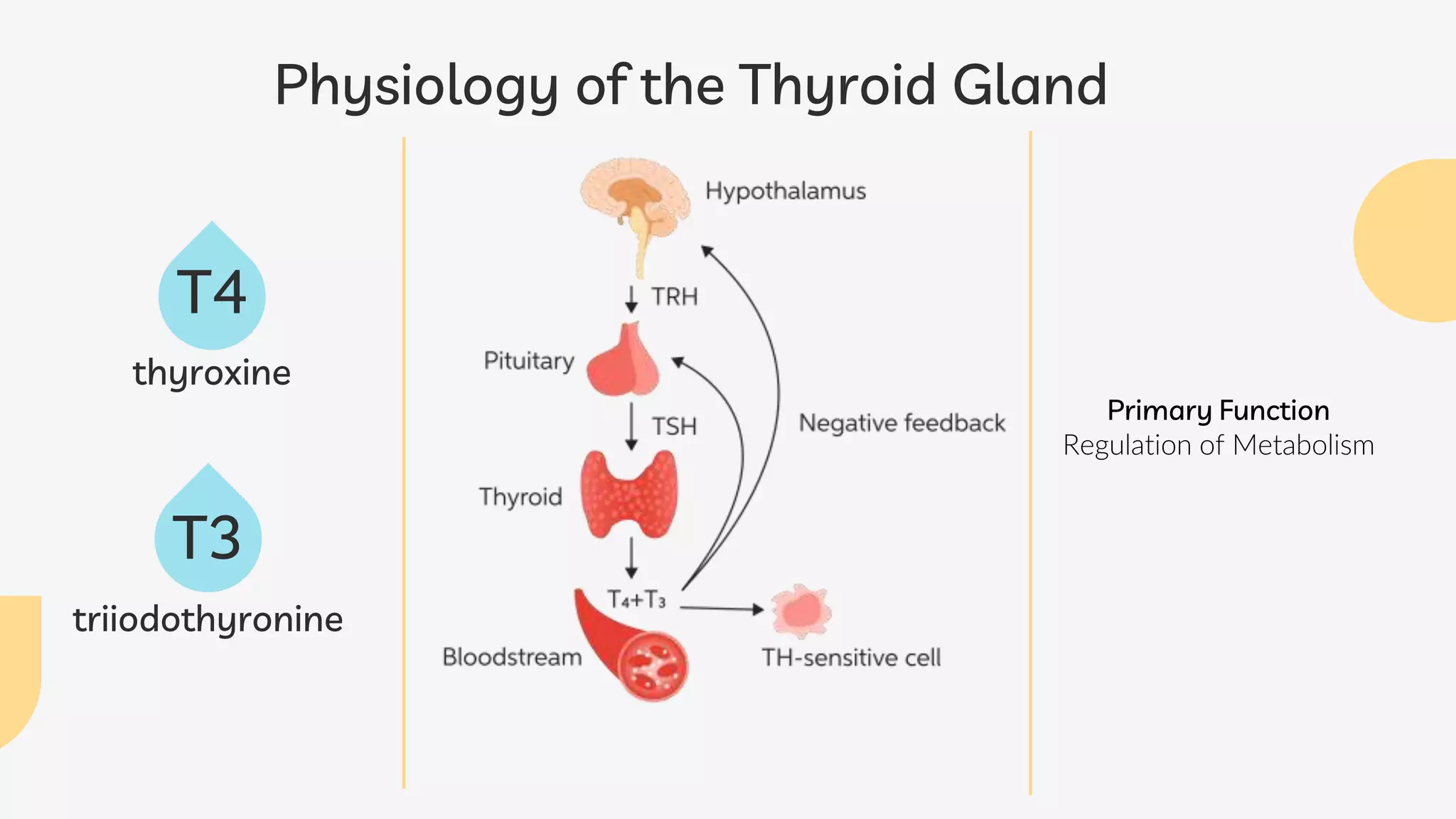 Hypothyroidism in Animals.pptx