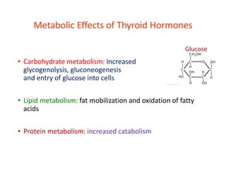 Metabolic Effects of Thyroid Hormones
• Carbohydrate metabolism: Increased
glycogenolysis, gluconeogenesis
and entry of glucose into cells
• Lipid metabolism: fat mobilization and oxidation of fatty
acids
• Protein metabolism: increased catabolism
 