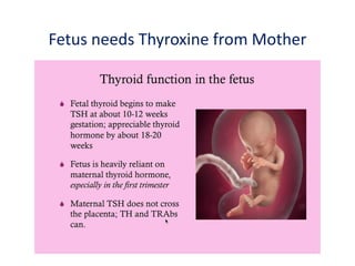 Fetus needs Thyroxine from Mother
 