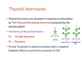 Thyroid Hormones
• Thyroid hormones are secreted in response to stimulation
by TSH (Thyroid Stimulating Hormone) produced by the
pituitary gland
• Two forms of thyroid hormone –
T3 - Tri iodo thyronine
T4 - Thyroxine
• T4 and T3 present in blood circulation exert a negative
feedback effect to control the secretion of TSH
 